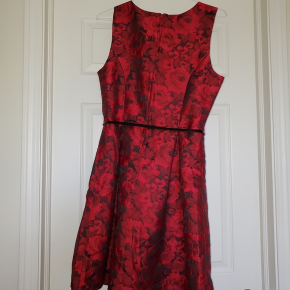 Dress NWT - Picture 4 of 4